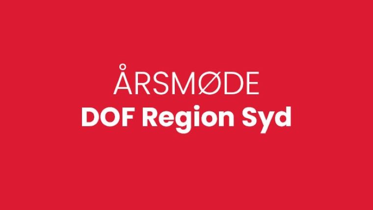 Årsmøde syd