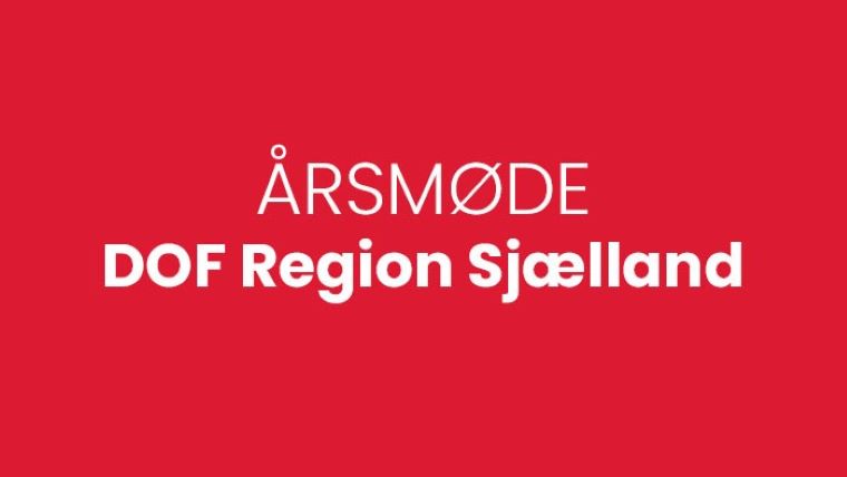 Årsmøde Sjælland rød baggrund